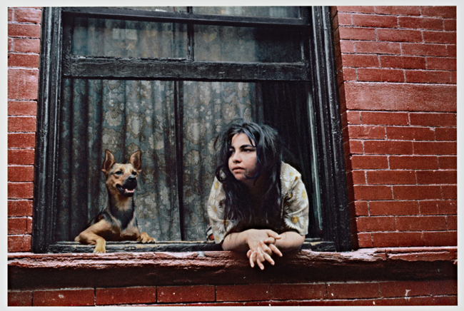 Helen Levitt (U.S.A., 1913–2009), New York, 1972. Dye transfer print. © Helen Levitt Film Documents LLC. All rights reserved. The Capital Group Foundation Photography Collection at Stanford University, 2019.45.54