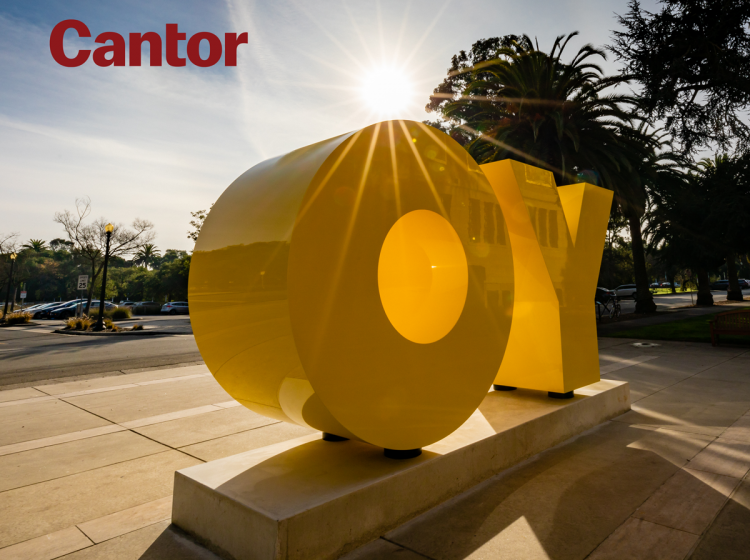 Installation view of OY/YO. Photo by Farrin Abbot.