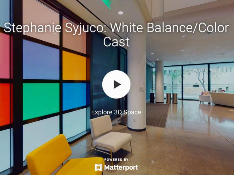 Stephanie Syjuco: White Balance/Color Cast