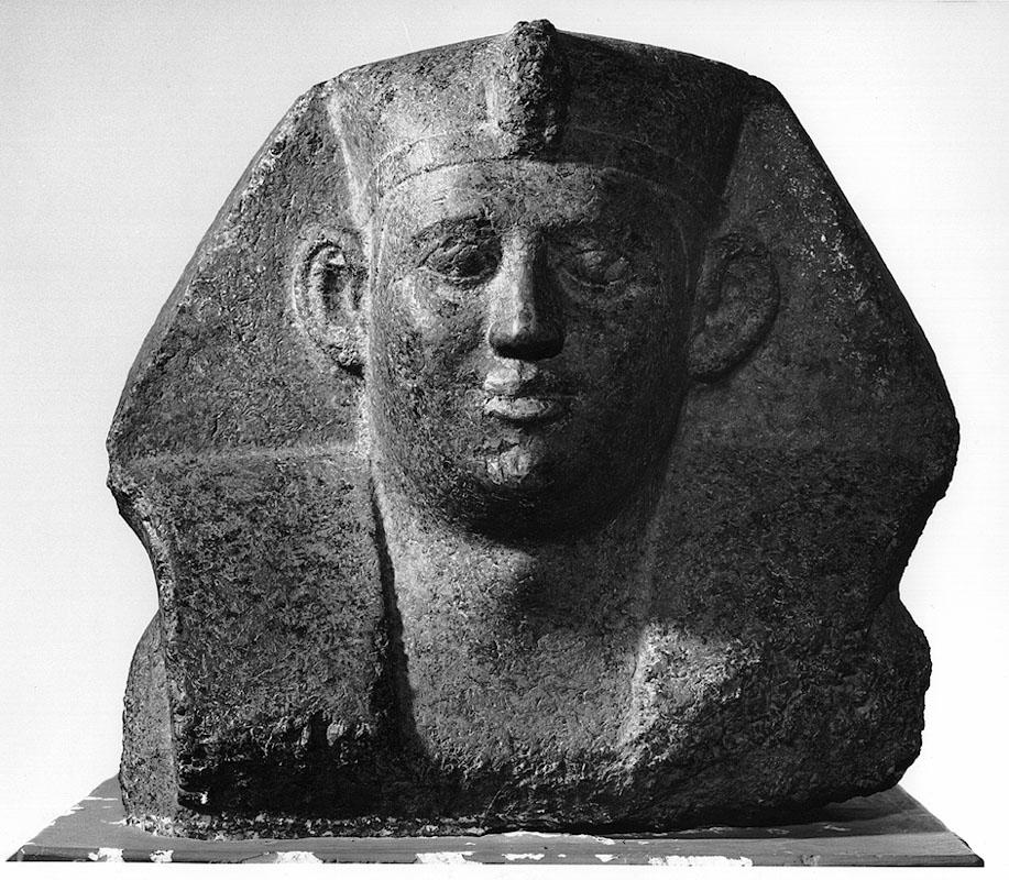 Artist unknown (Egypt), Head of a King (likely Ptolemy VIII), 184-116 BCE. Granite. Stanford Family Collections, 1966.372