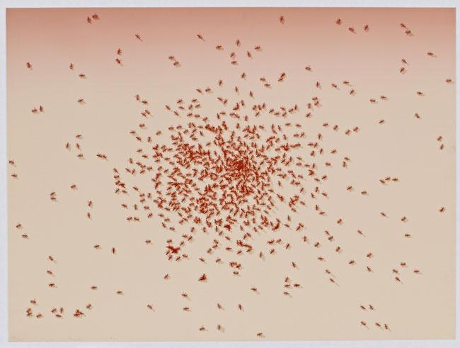 An image of red ants on beige background