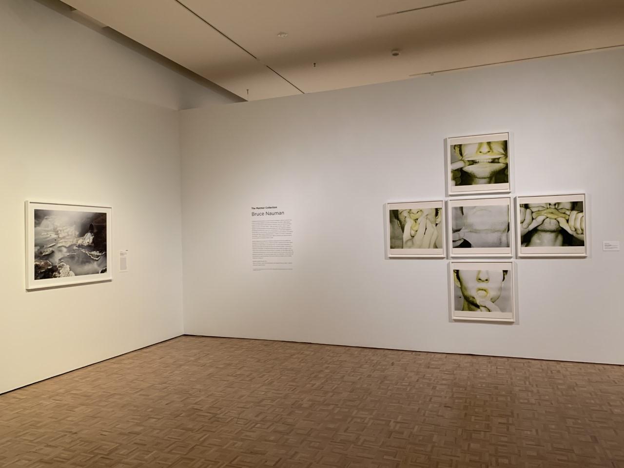 An in-gallery shot of the past exhibition "The Marmor Collection: Bruce Nauman" on view at the Cantor from Jan 12 through Apr 3, 2022