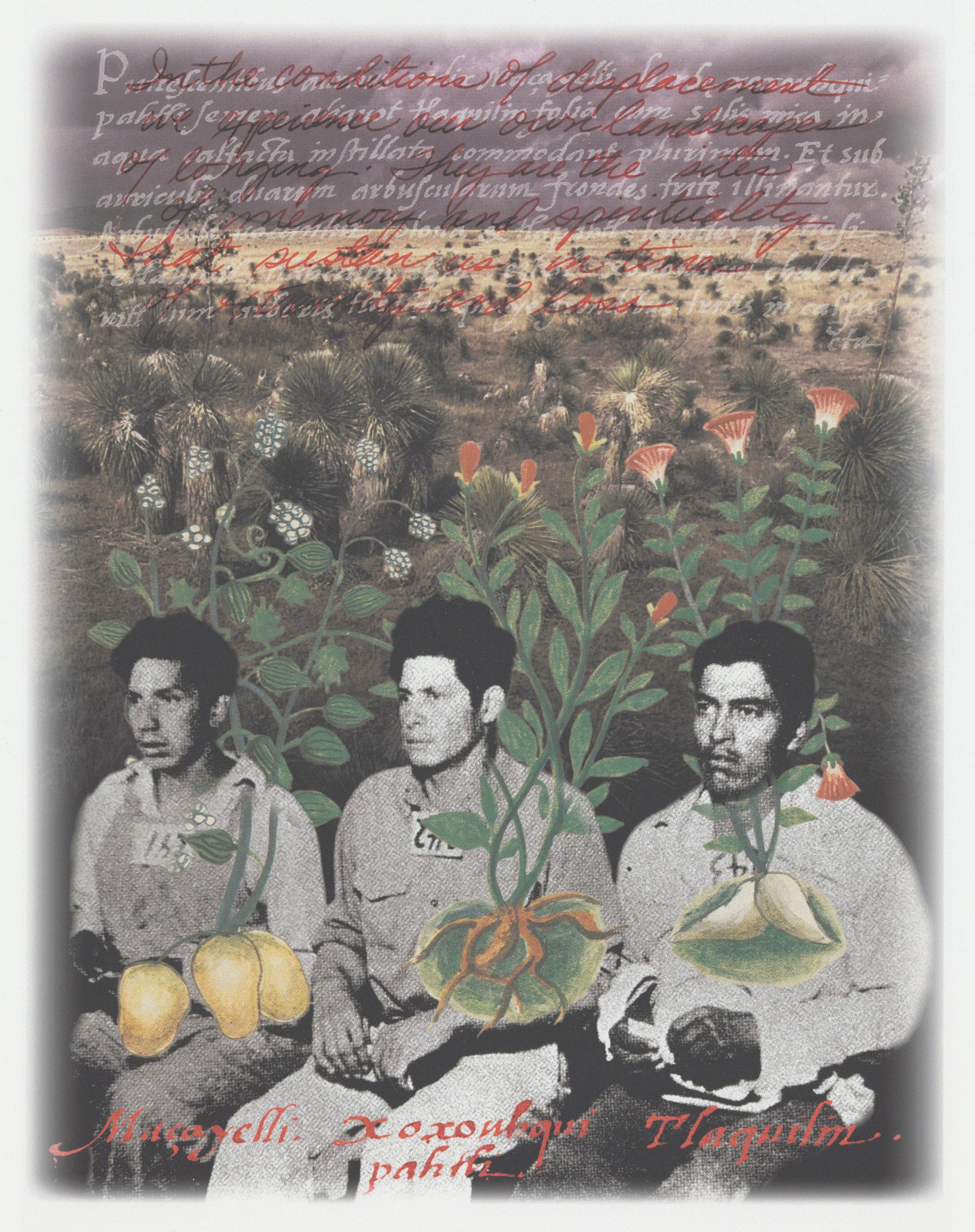 Pages from Amalia Mesa-Bains, Curandera's Botanica binder